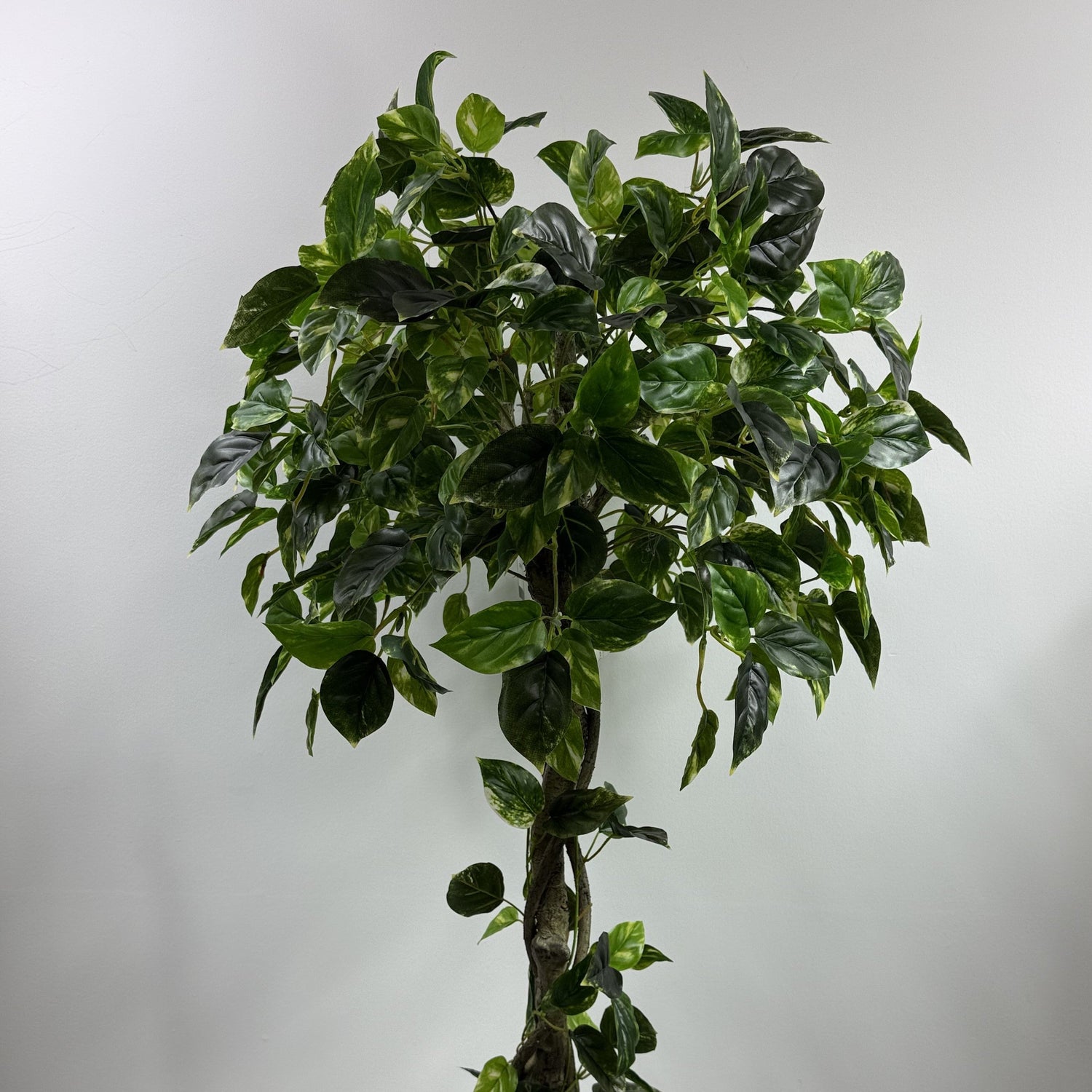 Best Artificial Plants for Home Decor – Shop Faux Plants in Canada
