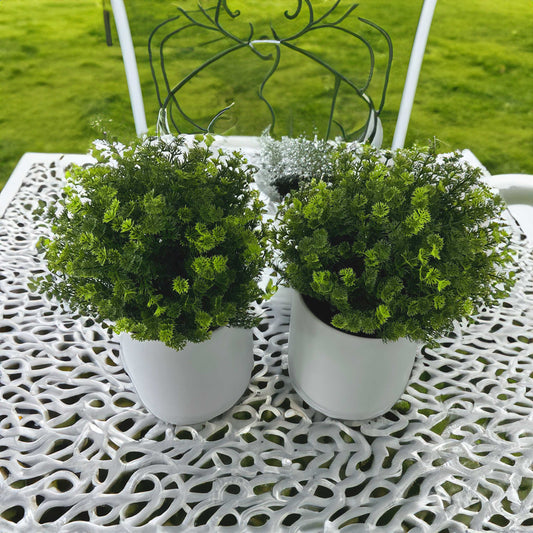 Mountain of Green - Pack of 2