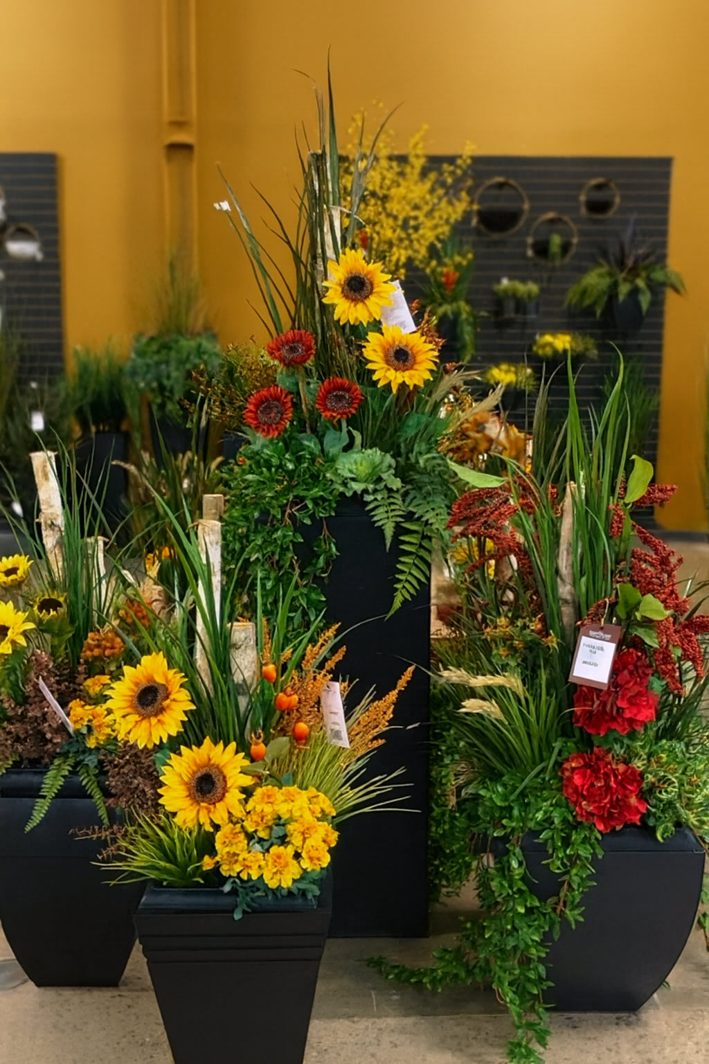 Arrangements of sunflowers and other flowers in black pots against a yellow wall.