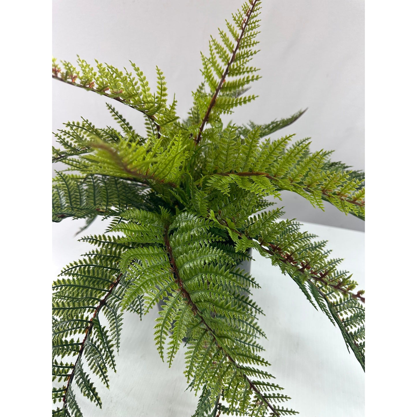 Outdoor Fern Coffee Table