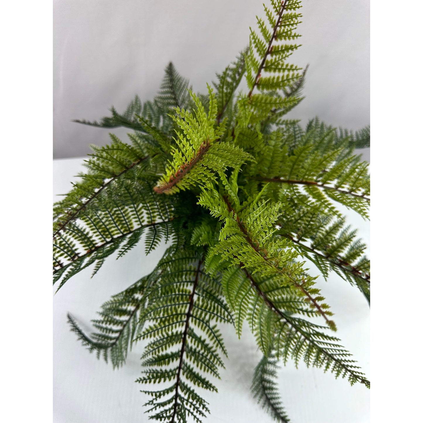 Outdoor Fern Coffee Table