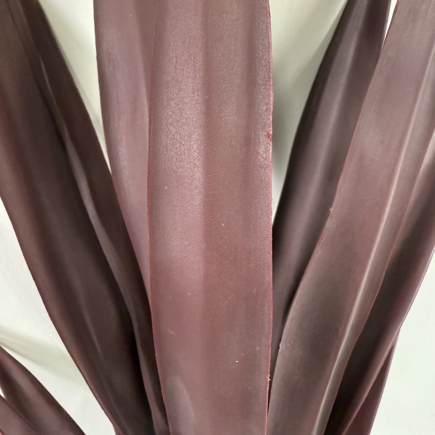 Yucca Head Plant 28" Green or Red