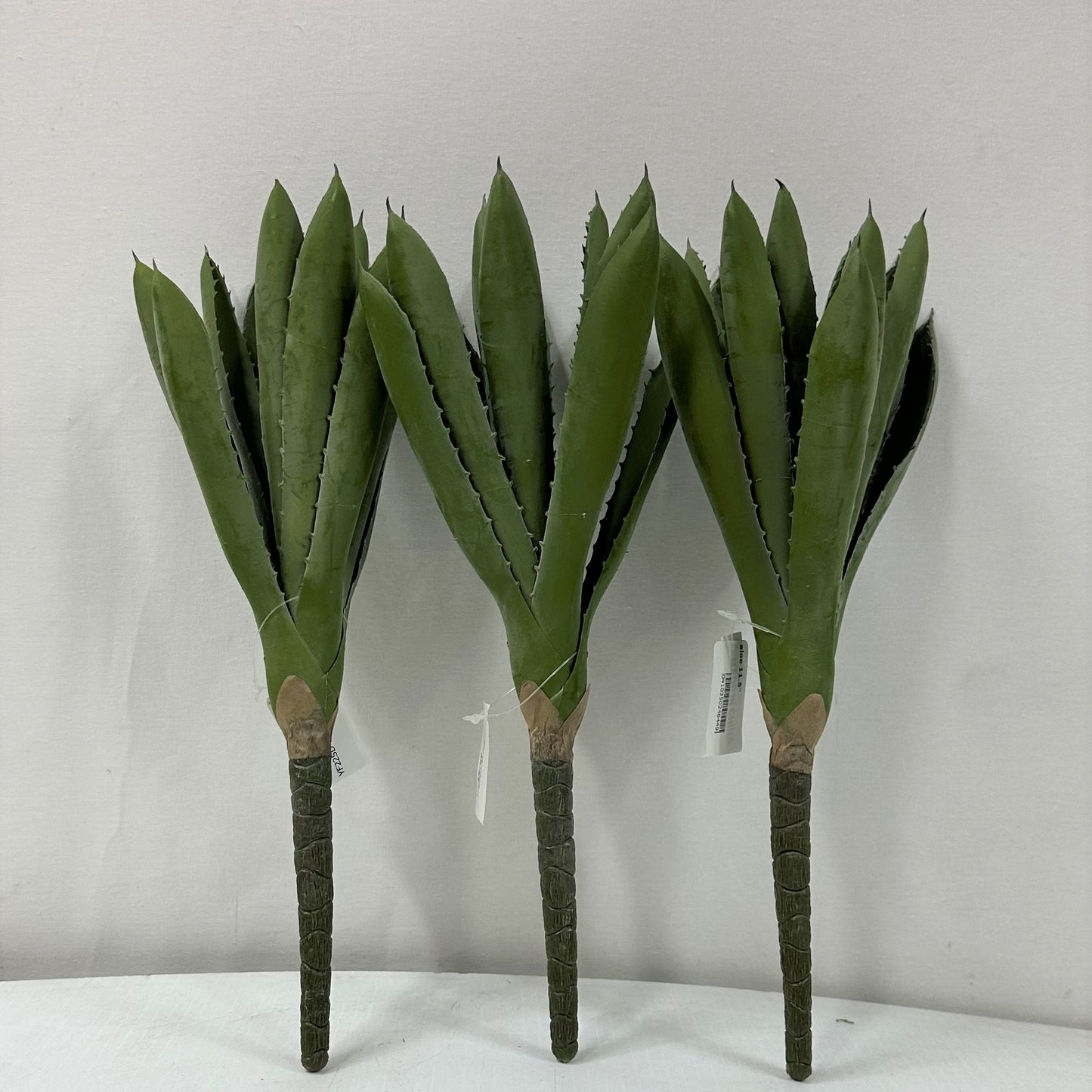 Aloe Mini (Pack of 3)