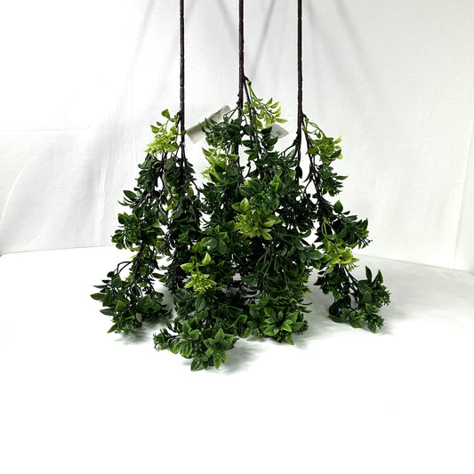 Flowering Boxwood Pick 28" - Set of Three