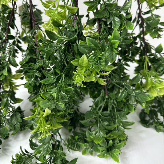 Flowering Boxwood Pick 28" - Set of Three