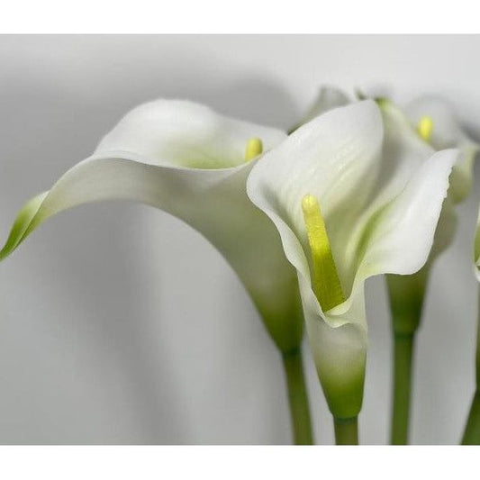 Calla lily white 26" (Pack of 3)