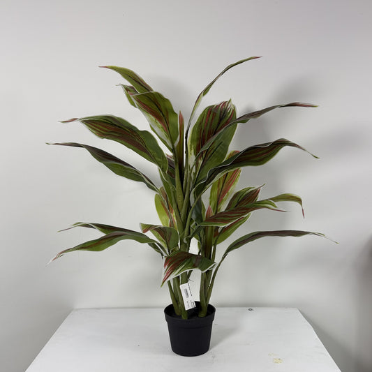 Cycas plant mini 29"