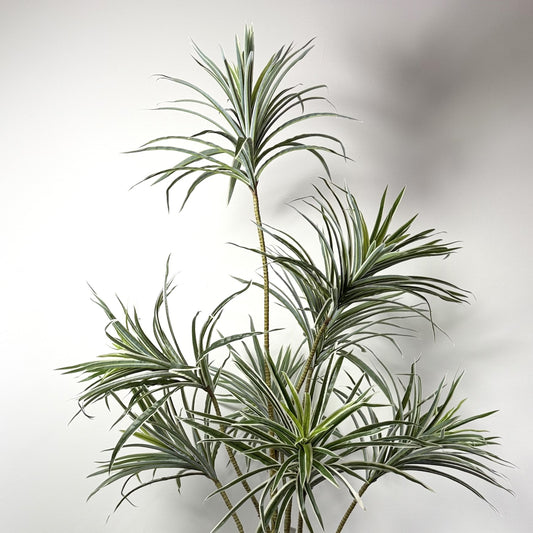 Dracaena adjustable Trunk 53"