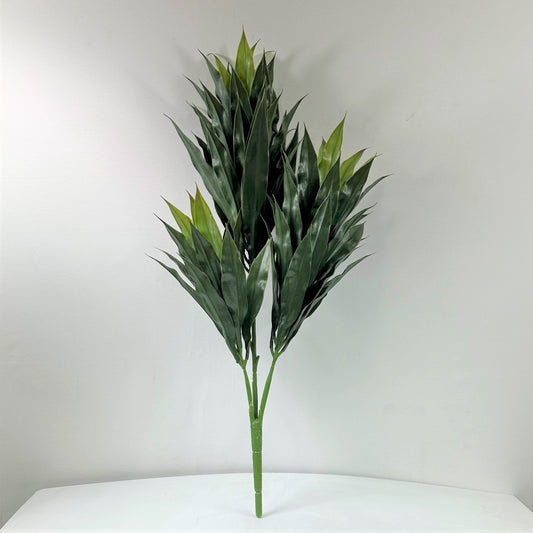 Dracaena Head 32"