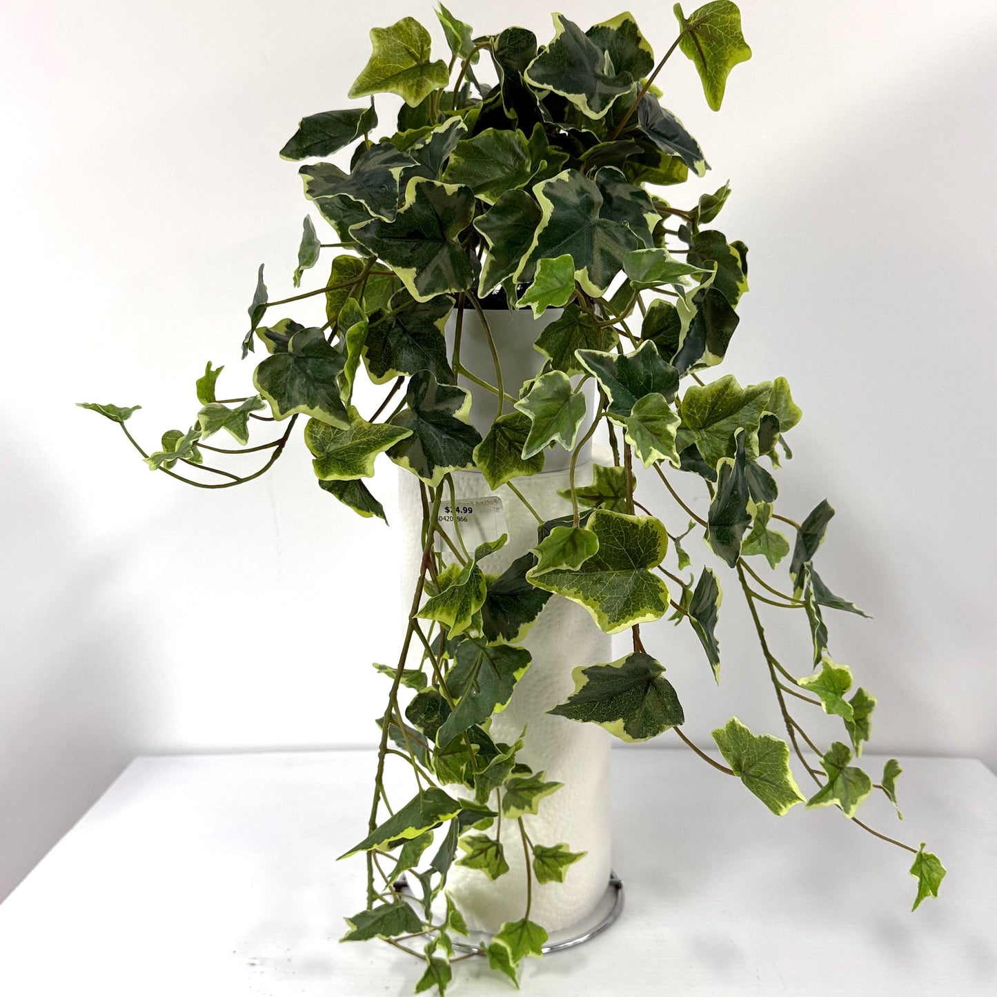 English Ivy Bush (Set of 2)