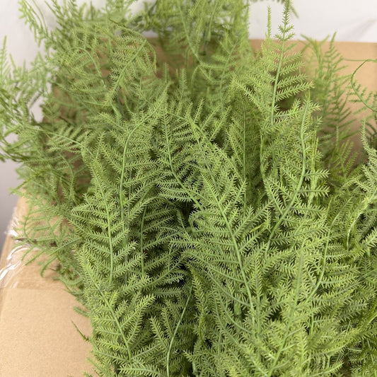 Asparagus fern hanging bush 28" (Set of 2)