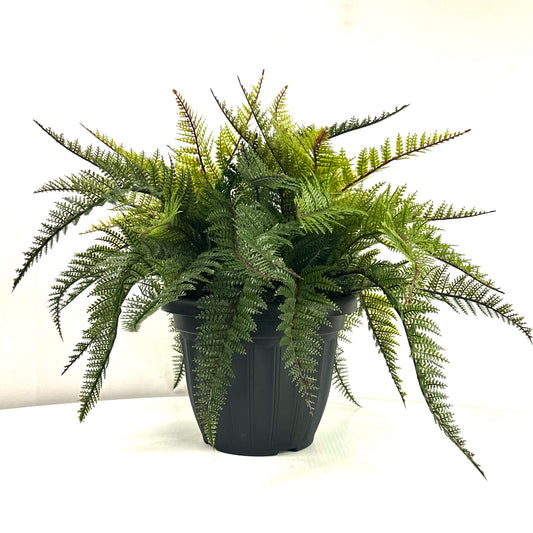 Outdoor Potted Fern