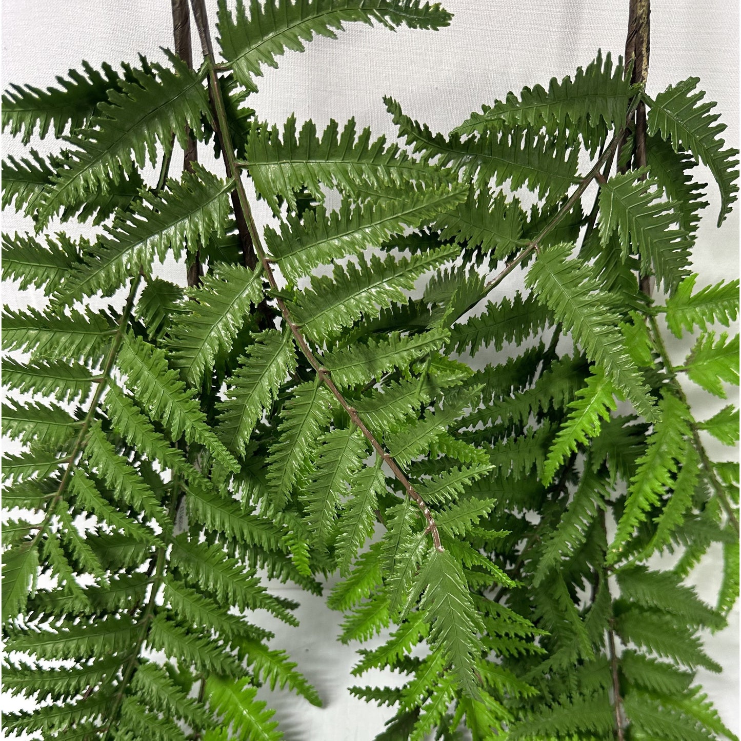 Fern Spray 36"- Set of Two
