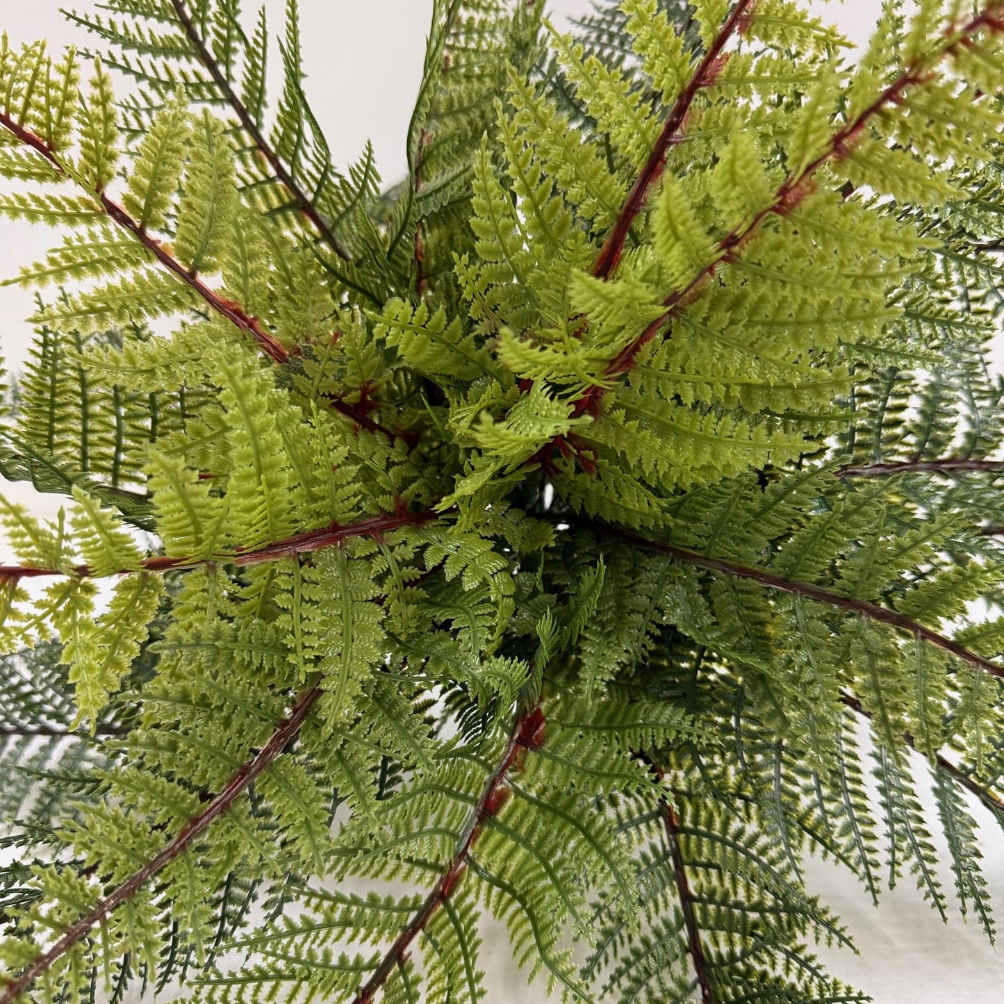 Fern plug in UV protected (pack of three)