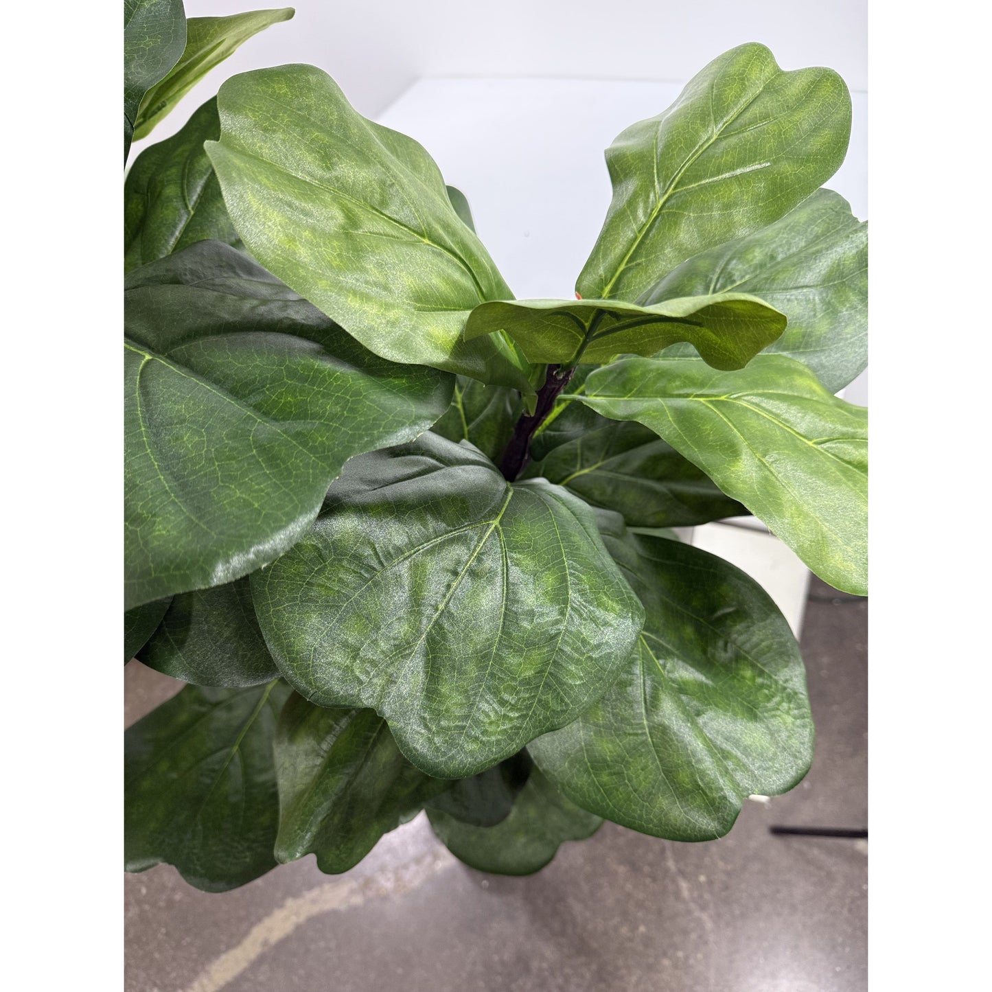 Artificial Fiddle Leaf Fig 6ft