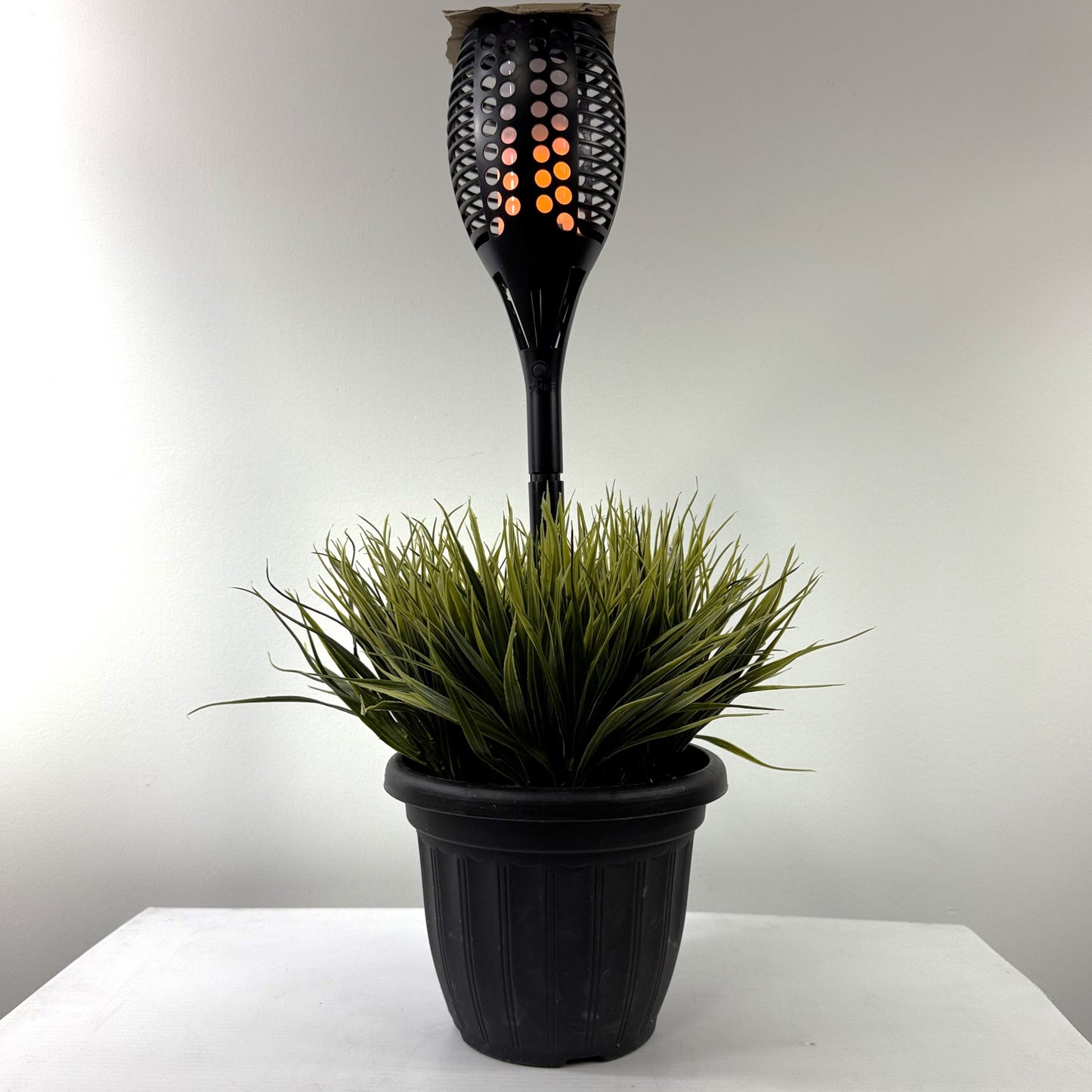 Solar Grass Delight ( Dancing Flame )