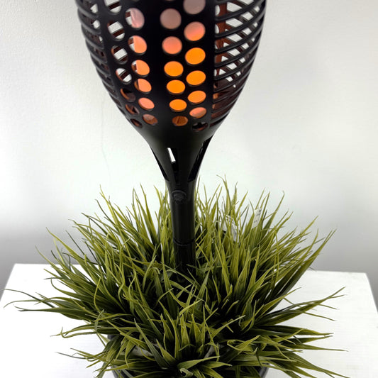 Solar Grass Delight ( Dancing Flame )