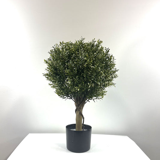 Frosted Poplar ball top topiary