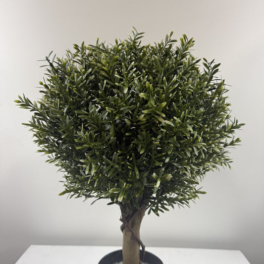 Frosted Poplar ball top topiary