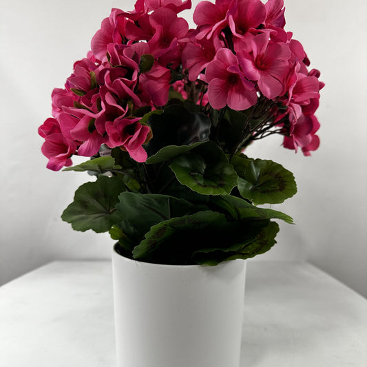 Tabletop Geraniums (set of two)