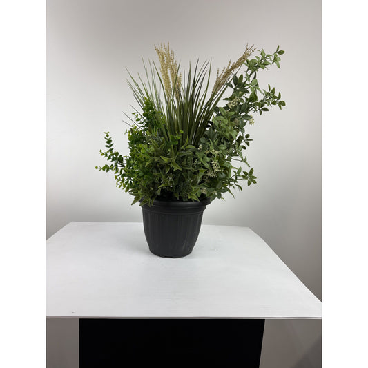Green Medley in Black Planter
