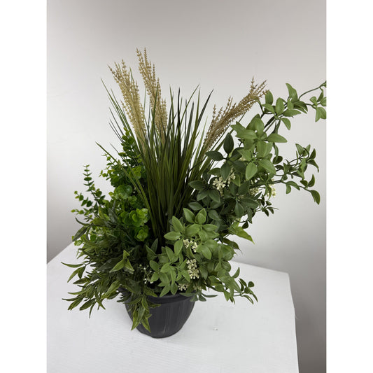 Green Medley in Black Planter