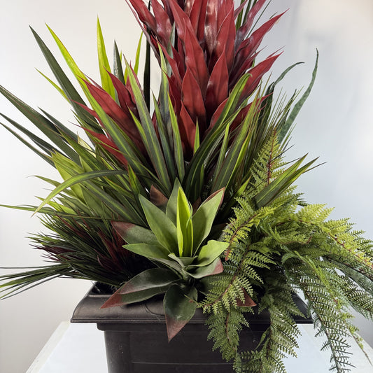 Heart of the Tropics