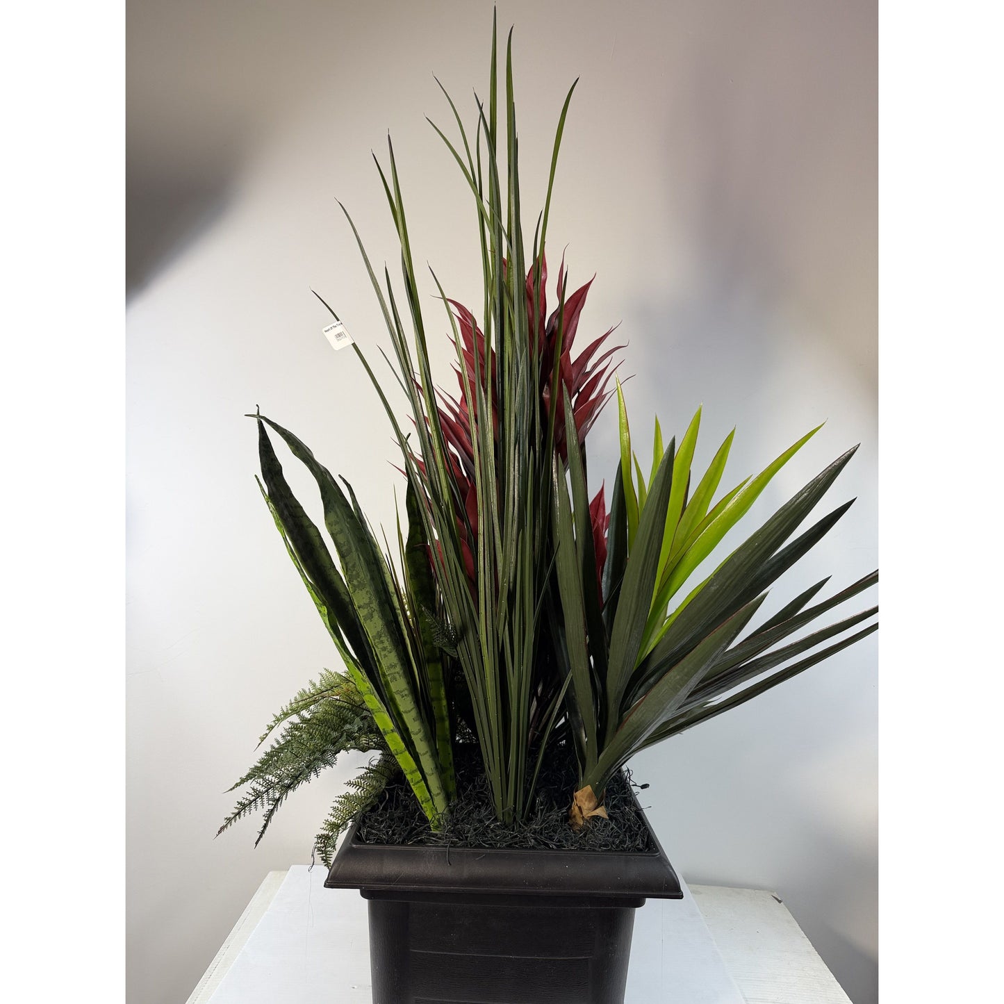 Heart of the Tropics