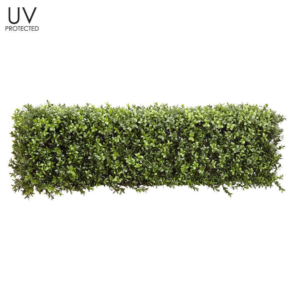 Boxwood Hedge (planters not included)