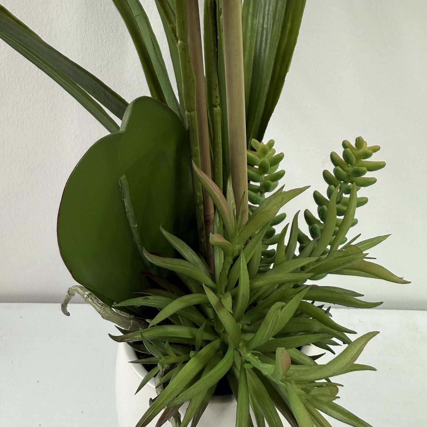 Lipstick orchid with succulents 25"