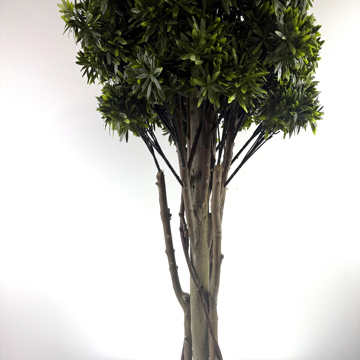 Mini Rivera topiary 49"