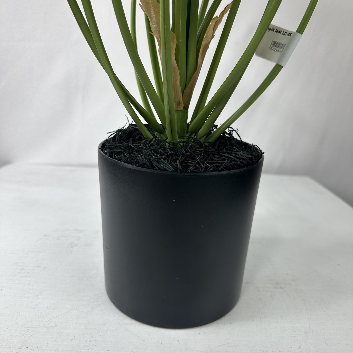 Anthurium with Planter