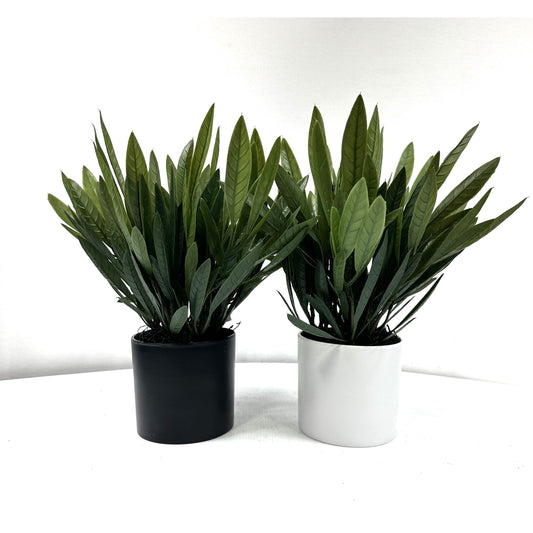 Olive Leaf Group - Set of Two