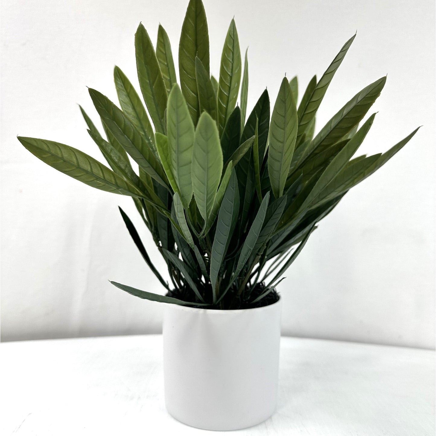 Olive Leaf Group - Set of Two