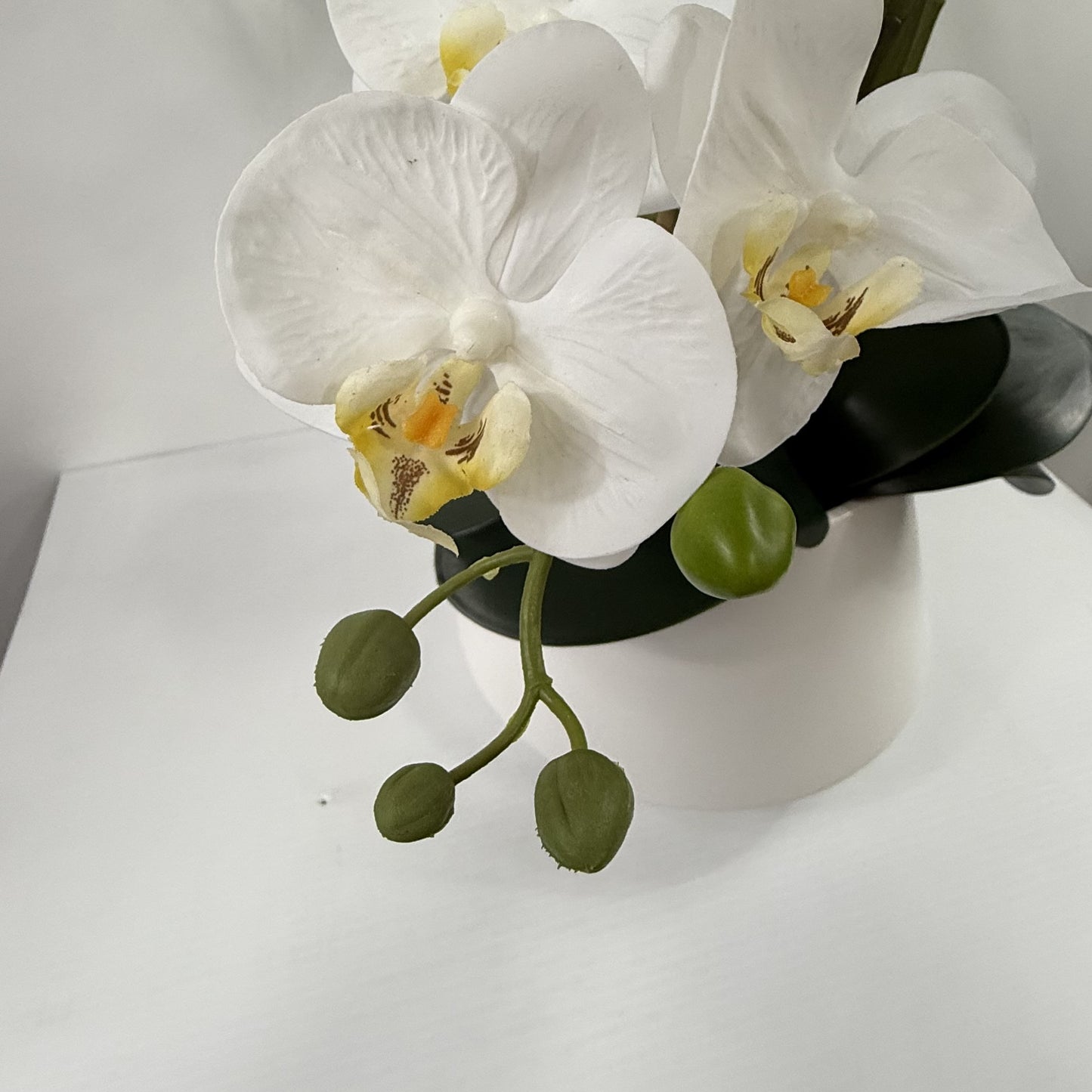 Orchid Cloud