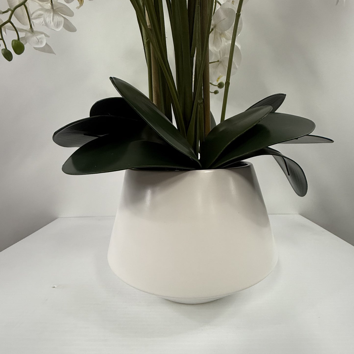 Orchid Cloud