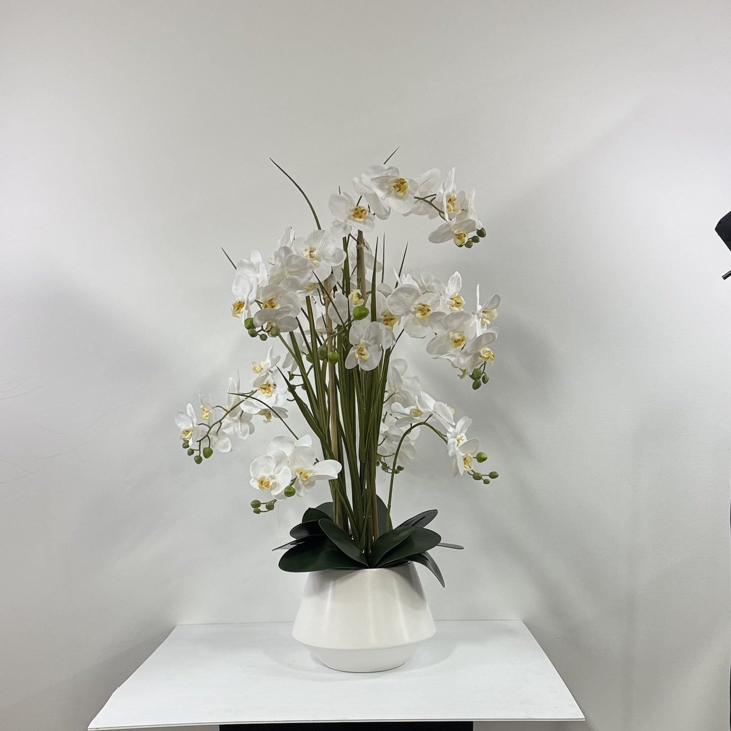 Orchid Cloud