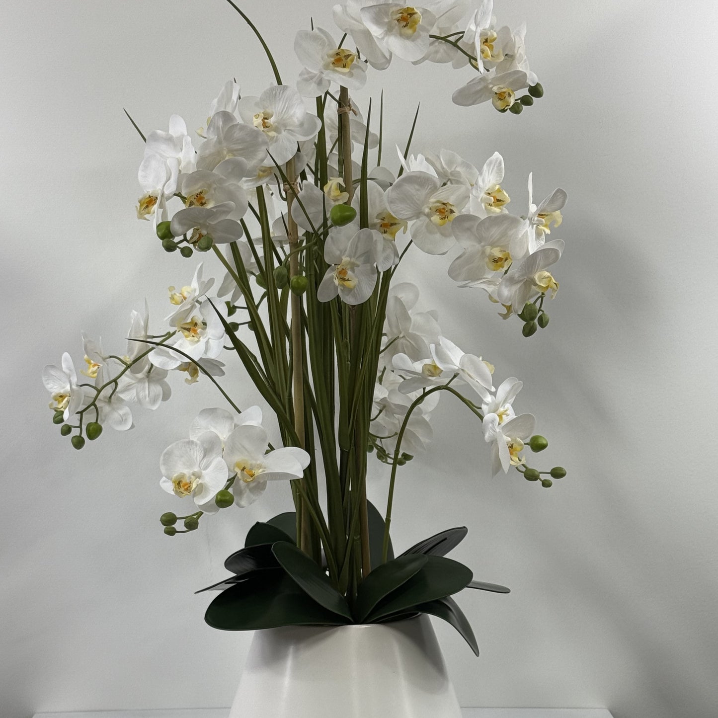 Orchid Cloud