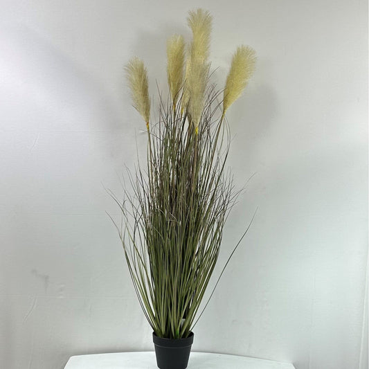 Savanna Lion Grass - 50"W with 7 Plumes