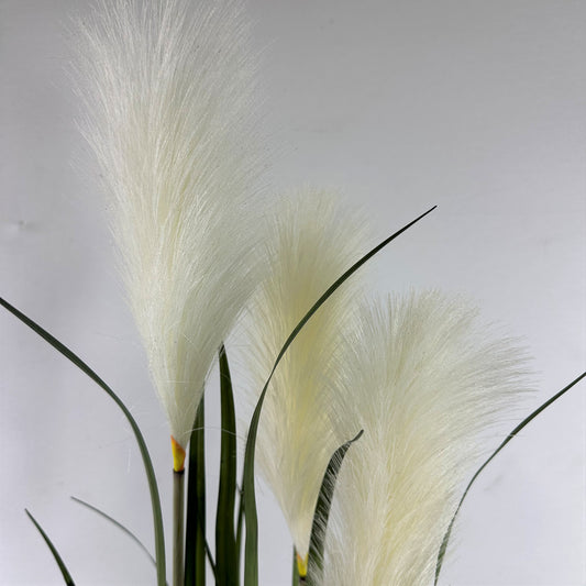 Pampas Grass with Plume 39"