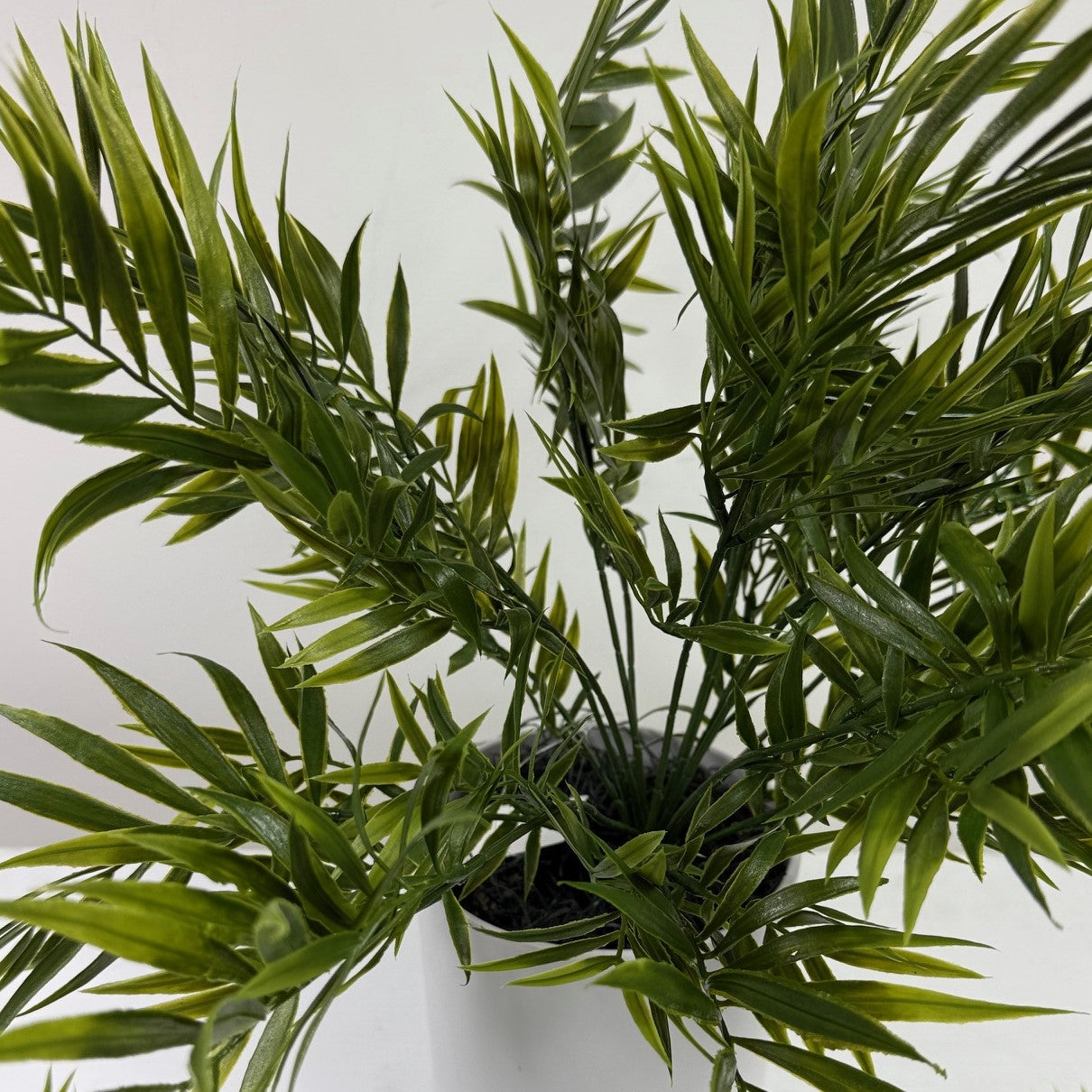 Robillini palm stem UV protected (set of 3)