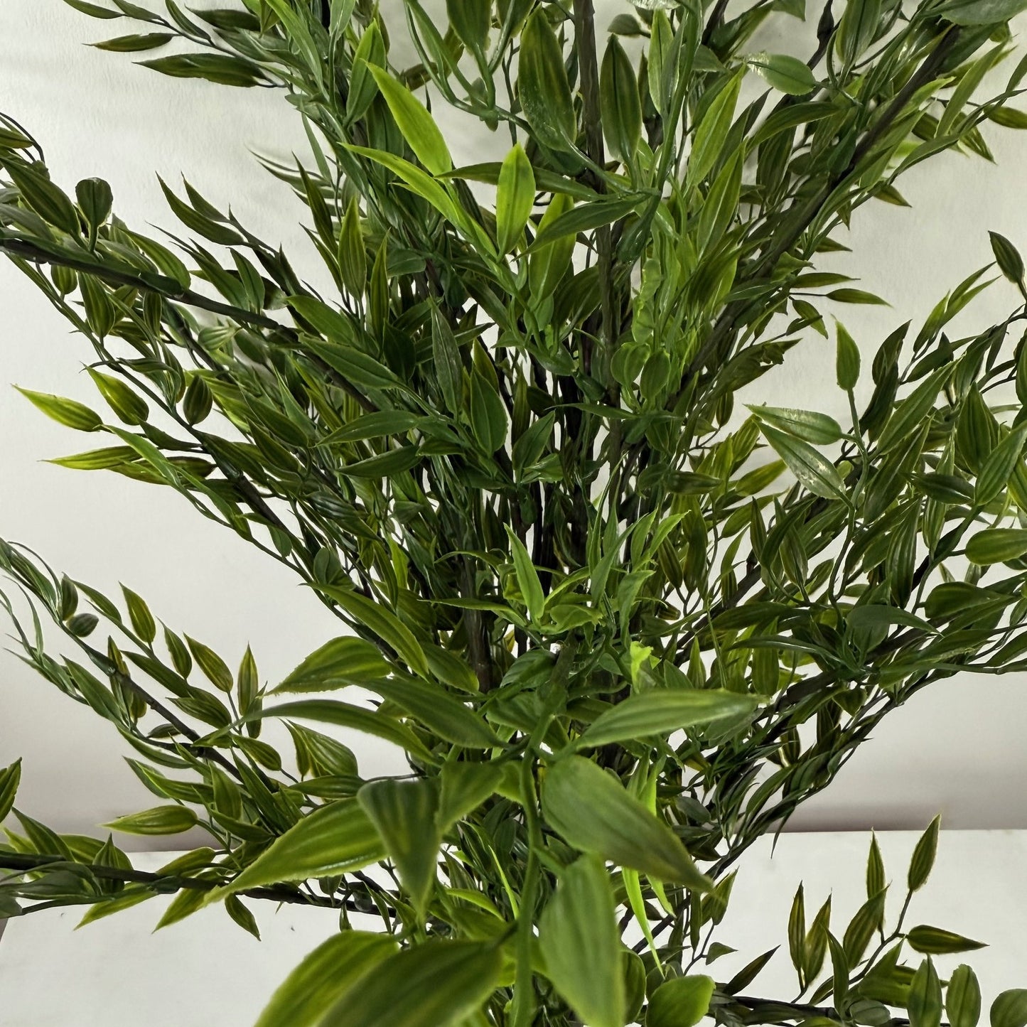 Ruscus bush stem 30"