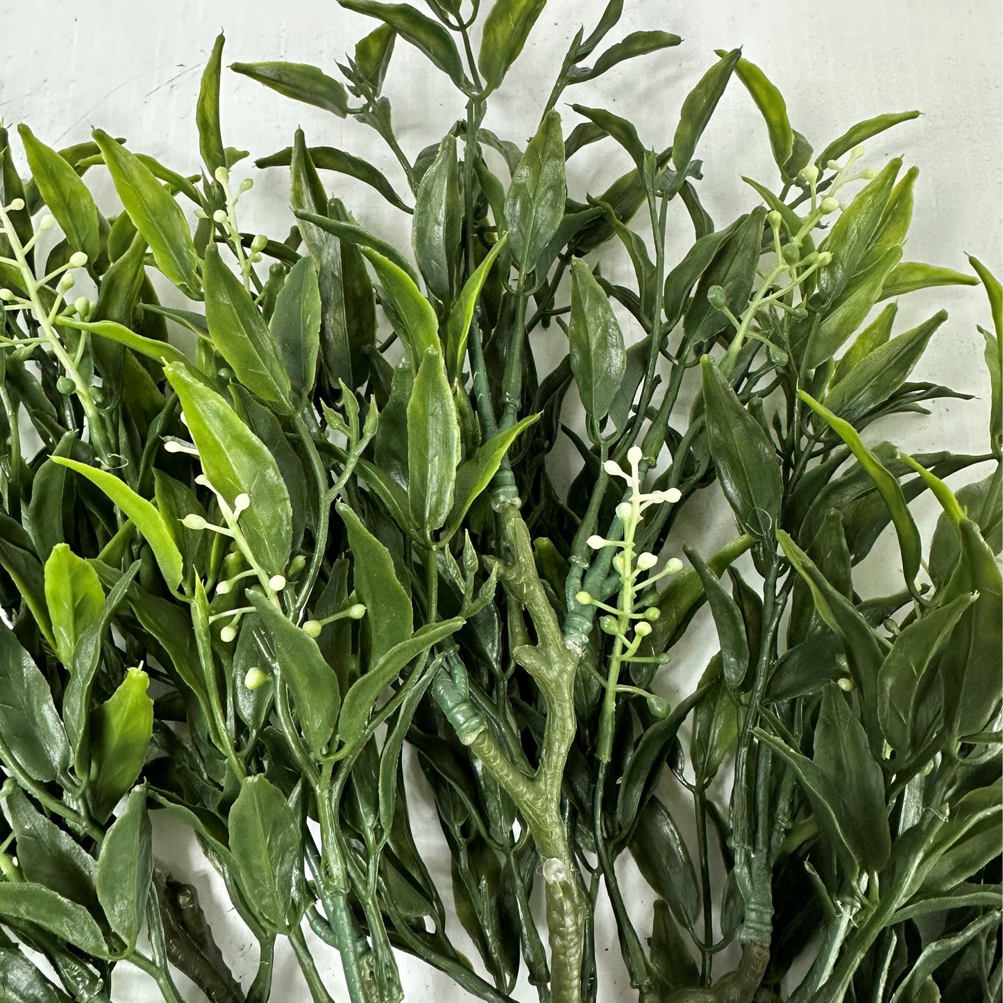 Salix Bush - Set of 3