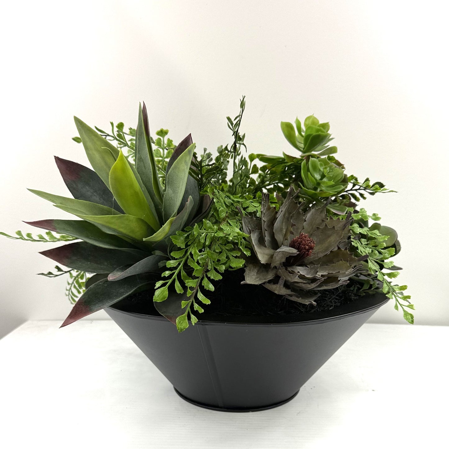 Succulent Greenhouse