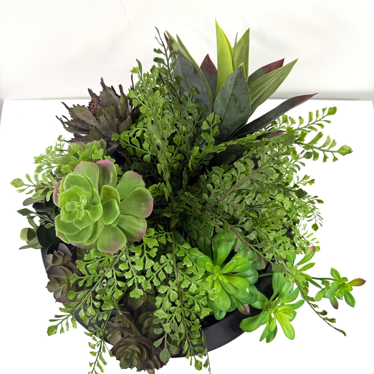 Succulent Greenhouse