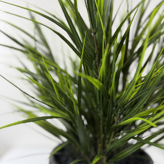 Wild and crazy grass 22"