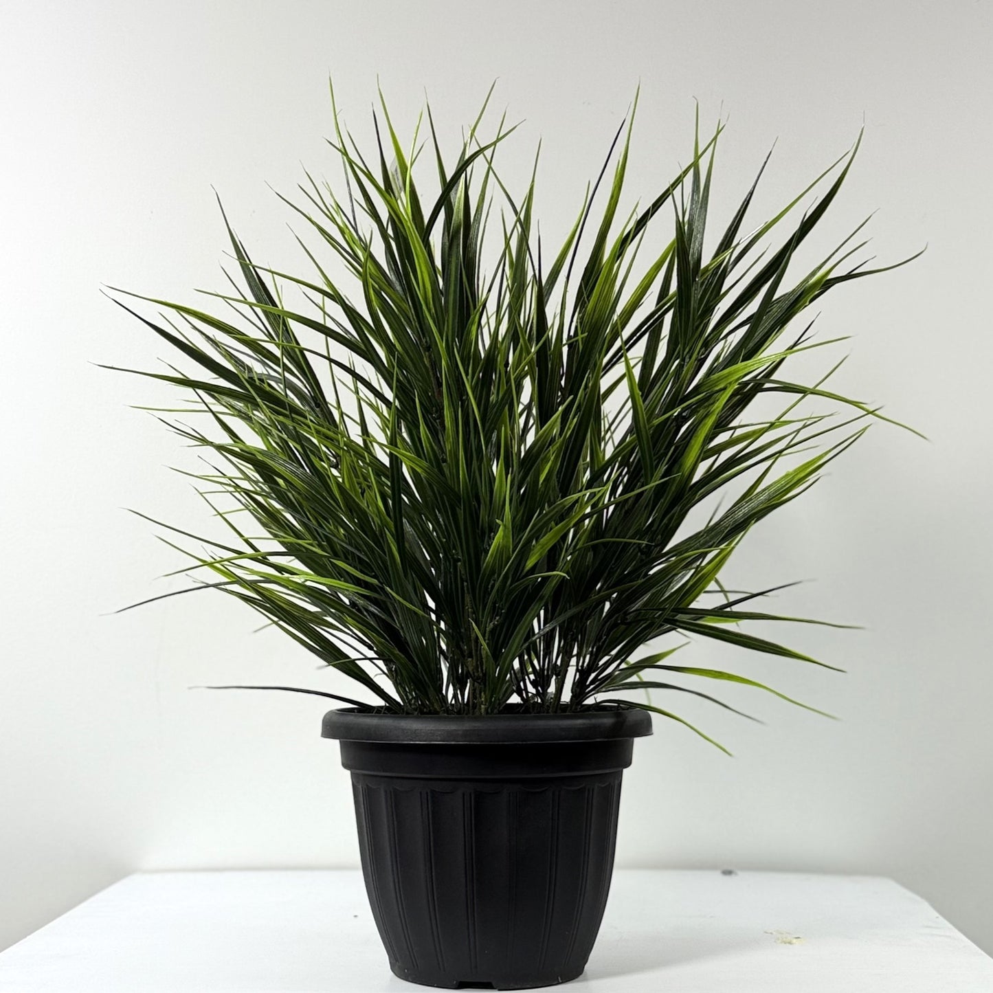 Wild and crazy grass 22"