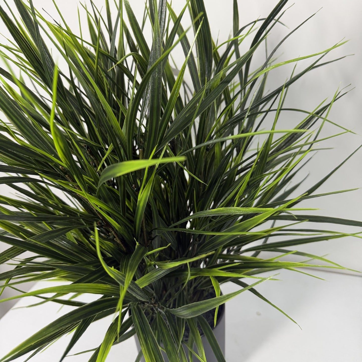 Wild Grass table top