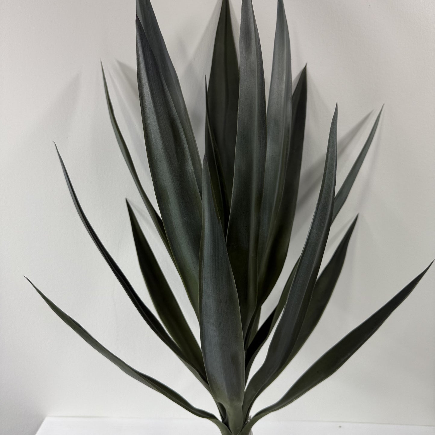 Yucca Head Plant 28"
