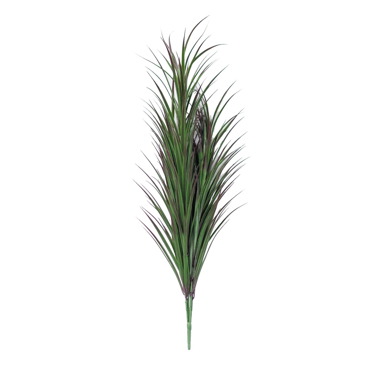 Reed Grass Bush (Pack of 3)